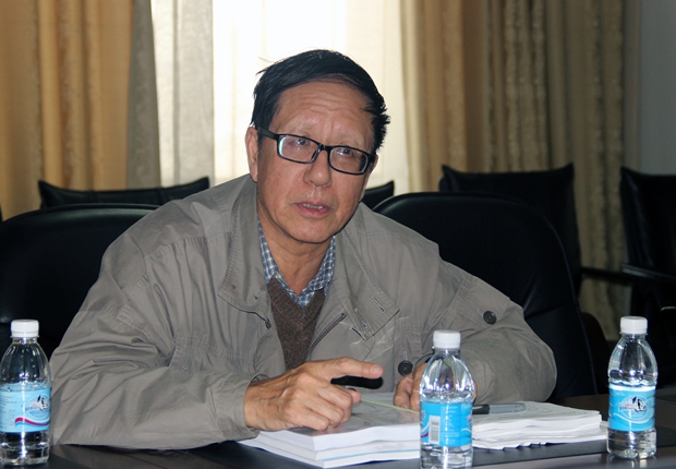 专家组组长曹铁川教授发表意见